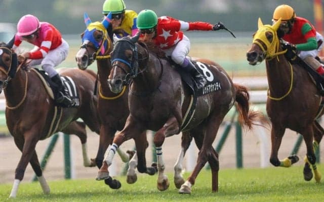 【STV杯】変幻自在！武豊が本日3勝目…レッドアヴァンティの大外一気が炸裂