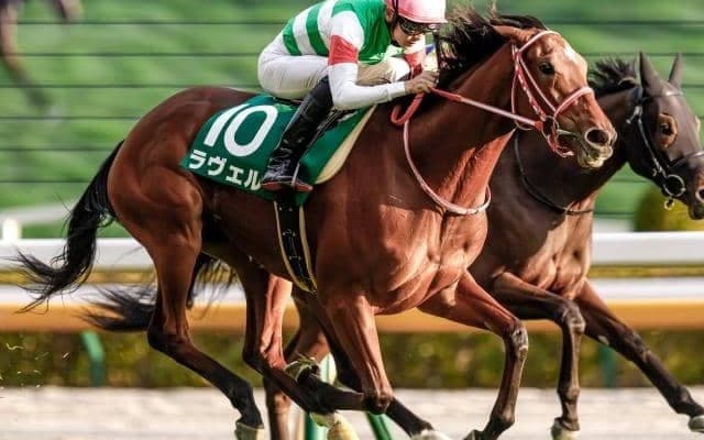 【今日の注目ポイント】京都で牝馬によるハンデ重賞マーメイドS