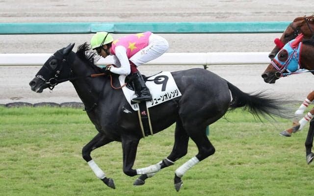 マーメイドＳは重賞のなかでも屈指の「荒れる」レース 今年の高配当の使者はこの２頭