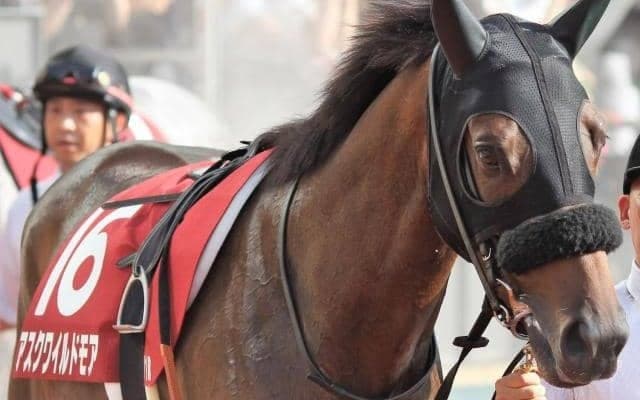 22年京都新聞杯覇者がダート初挑戦 1年4カ月ぶりの実戦で復活Vなるか