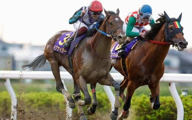 【浦和・さきたま杯枠順】今年からJpnI格上げ 連覇狙うイグナイターは5枠5番