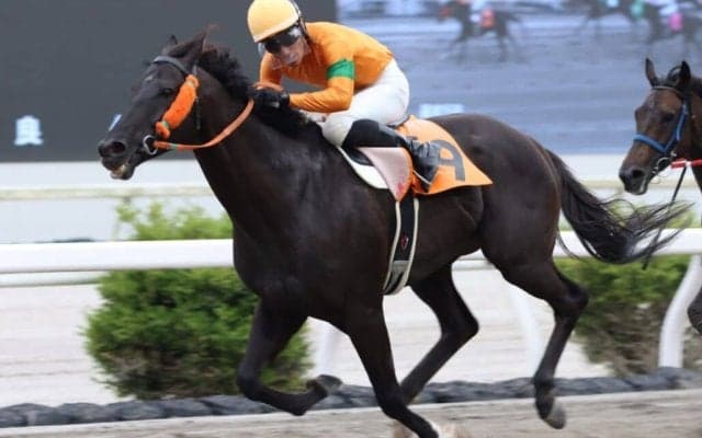 【高知競馬】雑賀正光調教師が地方通算4000勝を達成