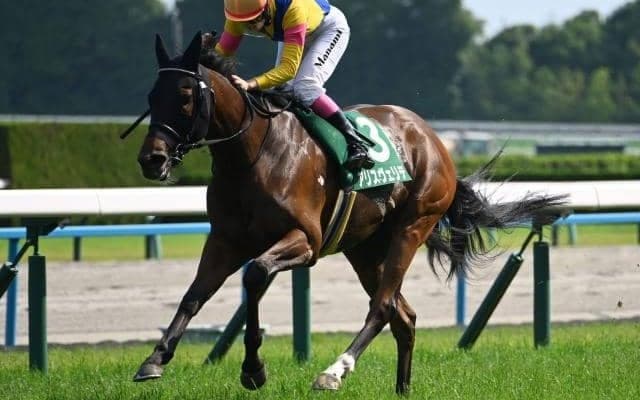 【マーメイドS結果】アリスヴェリテが大逃げ決めてV！ 永島まなみ騎手とともに重賞初制覇！