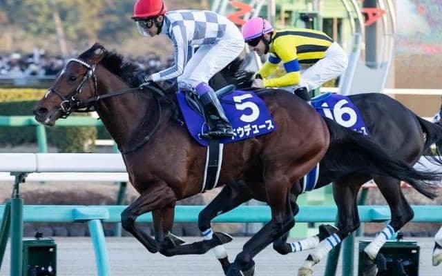 上半期の総決算 グランプリ・宝塚記念など2重賞/今週の競馬界の見どころ