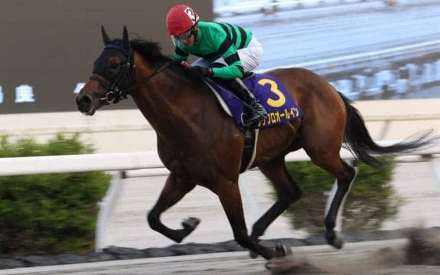 【高知優駿】プリフロオールインが8連勝で高知二冠…宮川「全国に通用する馬」