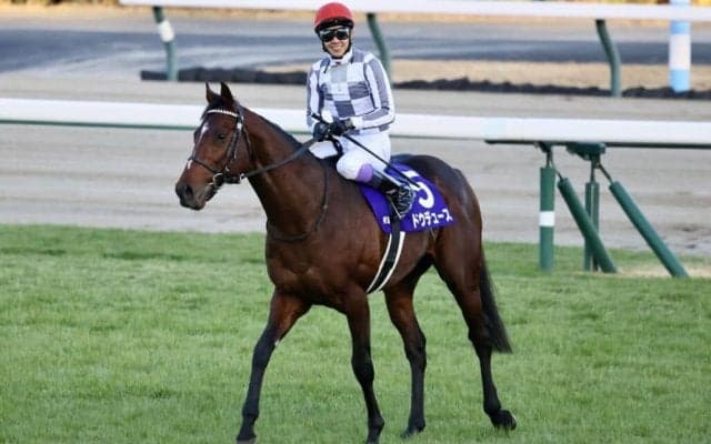 【宝塚記念登録馬】ドウデュースなど13頭