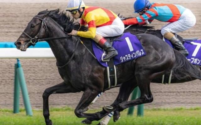 宝塚記念でルメール騎手にかかる意外な記録 4戦4勝のパートナーとグレード制以降初の“連覇”なるか