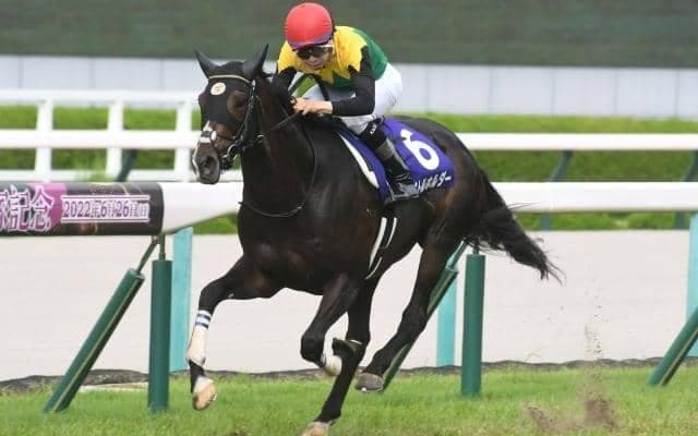 95年の2分10秒2は当時の日本レコード 宝塚記念の勝ち時計ランキング