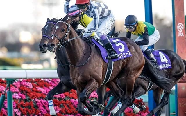 【宝塚記念想定騎手】ドウデュースは武豊騎手、ジャスティンパレスはC.ルメール騎手