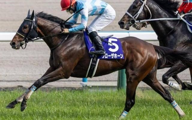 6年目の若手がGI初制覇へ 天皇賞(春)2着のコンビで宝塚記念制覇狙う