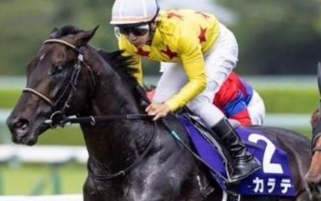 レース史上初の8歳馬Vへ 重賞3勝の古豪が宝塚記念制覇を狙う