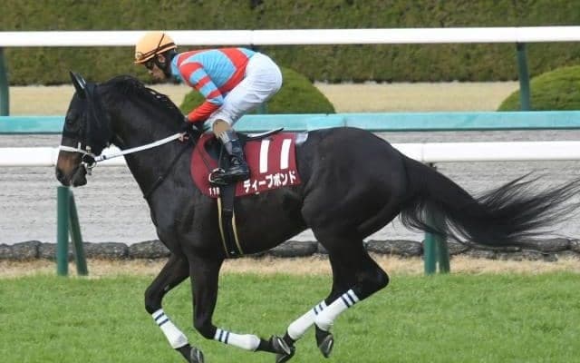 “連対率44.4%”と断然の好成績 京都で行われる宝塚記念で狙いたい血統とは？