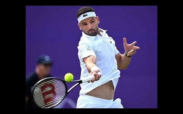 完勝ディミ 好調維持し芝シーズンスタート