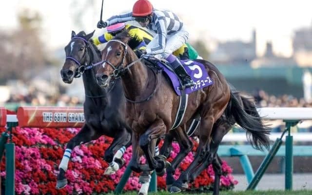 【宝塚記念予想オッズ】ドウデュースが予想1番人気