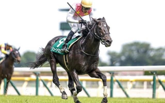 【東京JS予想オッズ】ジューンベロシティが予想1番人気