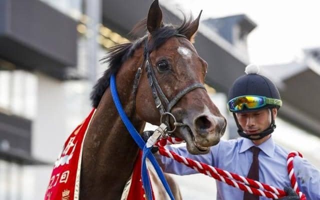 さきたま杯を「枠順」「騎手」「脚質」から分析 先行争いが激化しそうな中で注目馬は？