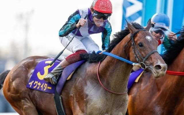 【浦和・さきたま杯注目馬】今年からJpnI格上げ 上半期のダート短距離王に輝く馬は