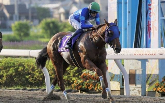 【さきたま杯】断然人気レモンポップが完勝