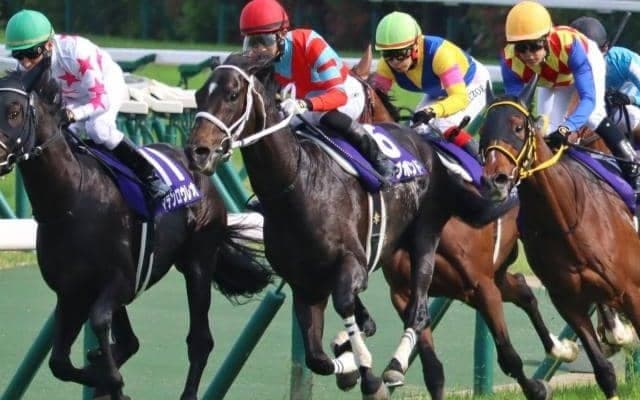 “GI未勝利の賞金王”が宝塚記念で悲願のビッグタイトルへ 得意の京都を味方につけるか