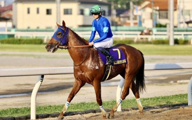 【さきたま杯】田中博師「今後選択肢も増えた」レモンポップが断然の人気に応える