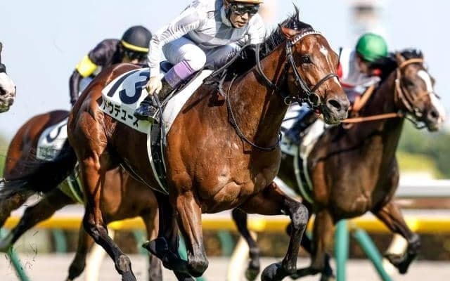 【宝塚記念予想】穴党のAIが推奨した一頭はまさかの人気の一角