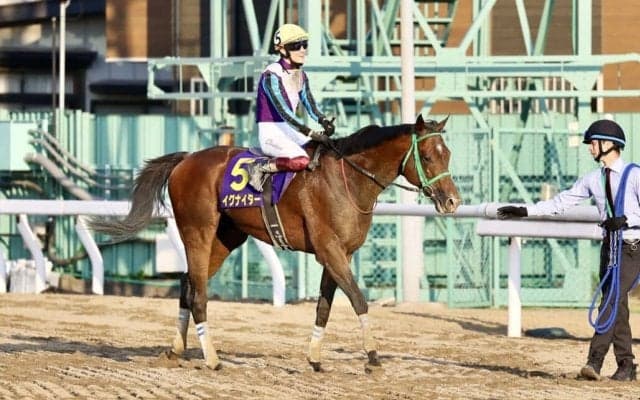 【さきたま杯】笹川翼「馬自身ももうひと馬力付いてきた感じ」兵庫イグナイターは惜しくも2着