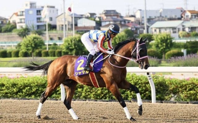 【さきたま杯】川須「上位とは詰まりそうで詰まらなかった」シャマルは3着敗退