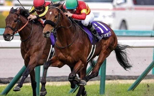 【宝塚記念】ソールオリエンス＆ベラジオオペラなど4頭にかかる意外な史上初とは