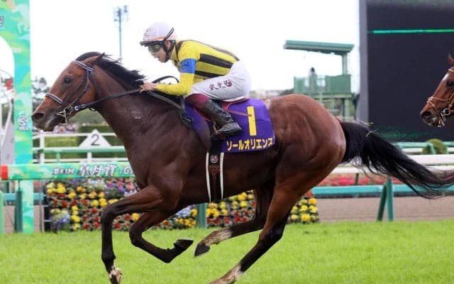 宝塚記念は、直近２年の勝ち馬と似た血統の４歳馬とレースとの相性がいい血筋の７歳馬に期待