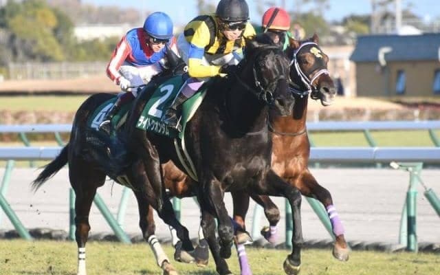 ディープ最終世代の重賞馬 ライトクオンタムが抹消・繁殖入り