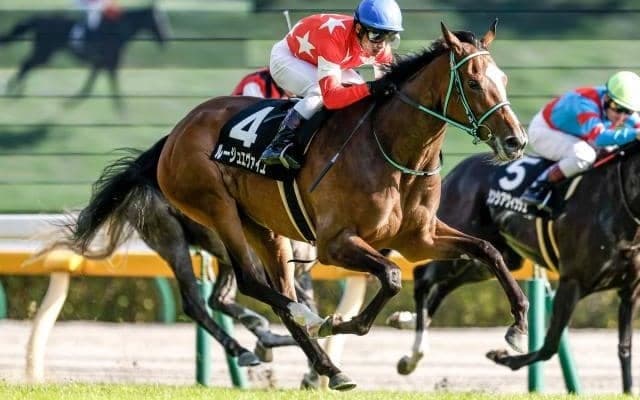 史上6頭目の牝馬による宝塚記念Vへ 独が誇る名牝の孫は覚醒のときを迎えるか