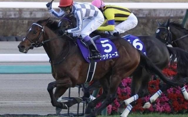 武豊騎手×宝塚記念ファン投票1位馬 レース本番での成績を探ると