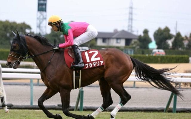 宝塚記念は渋化馬場で「荒れる」可能性大！ 夏のビッグボーナスをもたらすのはこの２頭だ