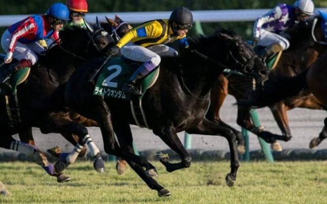 ライトクオンタムの競走馬登録抹消…シンザン記念V