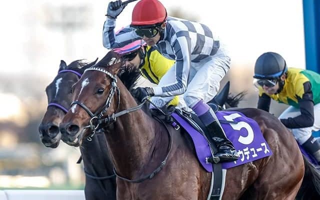 好走が目立つのは内か外か 宝塚記念の舞台・京都芝2200の傾向探る