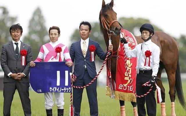 半兄に国内外GI馬2頭の良血 新種牡馬の父ルヴァンスレーヴにJRA初勝利を届けるか