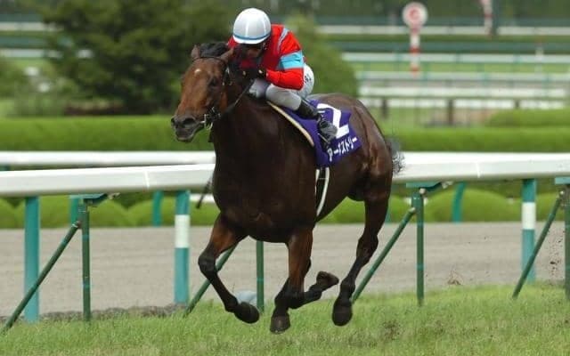 宝塚記念で好成績を残している馬齢は？ ベテラン勢には厳しいデータも