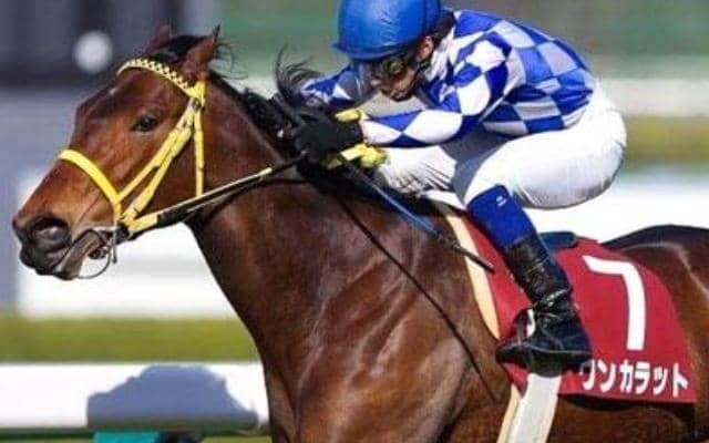 藤岡厩舎ゆかりの良血馬 ワンモアスマイルがデビューV狙う