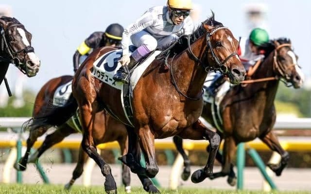 【宝塚記念前日オッズ】ドウデュースが2.2倍で1番人気