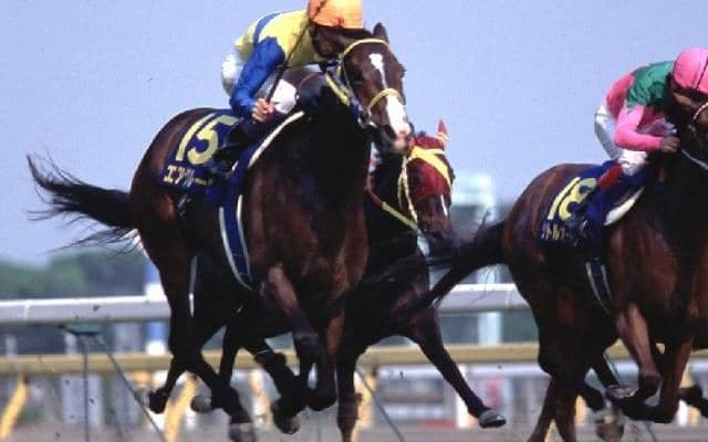 「エアグルーヴ2×3」を持つスワーヴリチャードの甥 日曜京都4Rで初陣