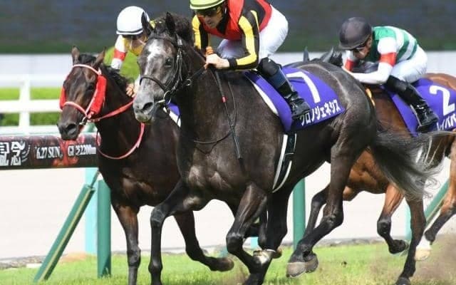 【宝塚記念】牡馬vs牝馬vsセン馬 それぞれの割合は？