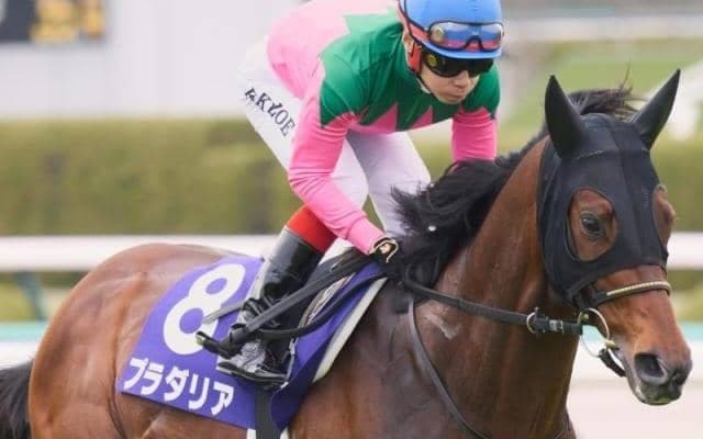 霜降り明星・粗品の宝塚記念予想 展開や馬場が向く軸馬から手広く！