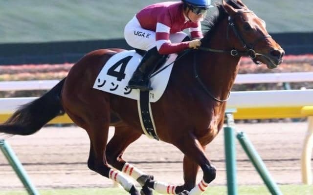 “ウマ娘”藤田晋オーナーの実力馬 日曜京都9Rの自己条件で確勝期す