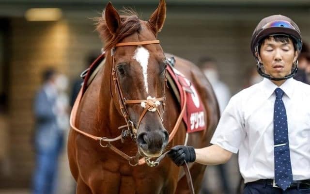 一族に大物ズラリ サラコスティがルメール騎手でデビューVなるか