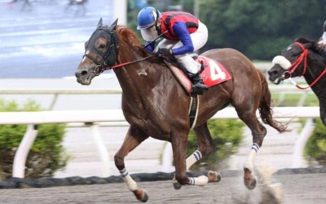 【高知・御畳瀬特別】ユメノホノオ快勝も…吉原「ちょっと物足りない感じ」