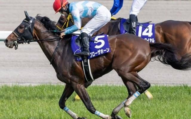 【宝塚記念予想】京都競馬場開催でも通用する？ 過去データから探るGI宝塚記念