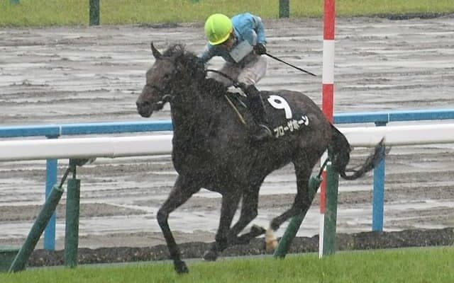 宝塚記念は道悪適性を重視 ブローザホーン＆シュトルーヴェに注目