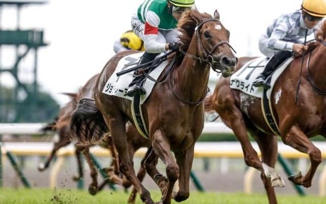 【東京5R新馬戦結果】モーリス産駒ジョリーレーヌが人気に応えて差し切りV