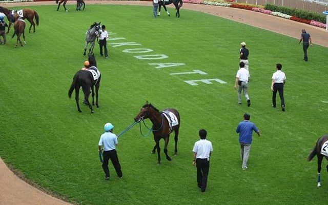 【大沼S結果】7番人気サヴァが差し切り勝ち 約1年3か月ぶりのV