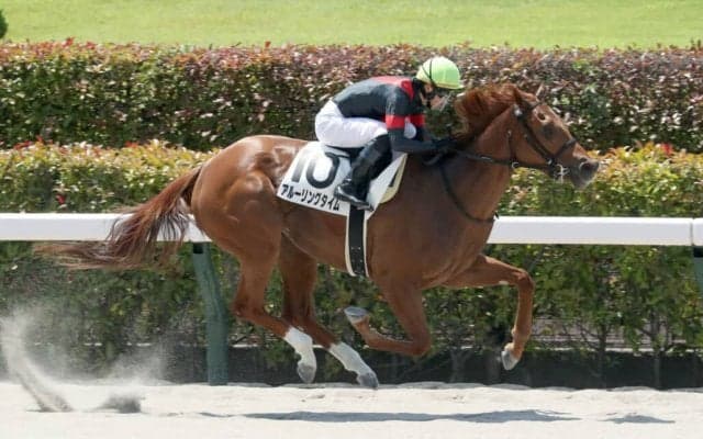 【東京1R】菅原明「さらに良くなる」アルーリングタイムが約11ヶ月ぶり休養明けで快勝